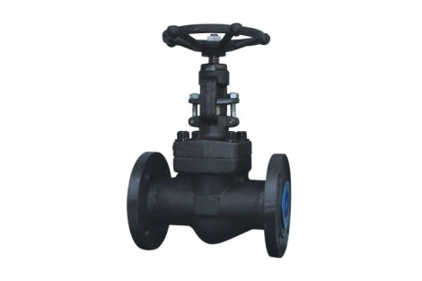 鍛鋼截止閥 鍛鋼(gāng)截止閥